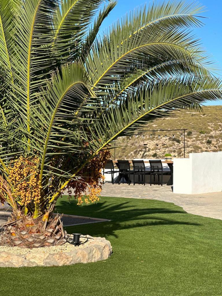 Los Palmitos Agua Amarga  Exterior photo